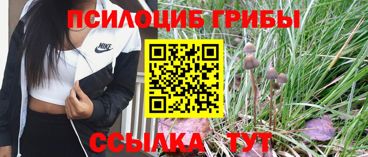 Псилоцибиновые грибы GOLDEN TEACHER Лыткарино