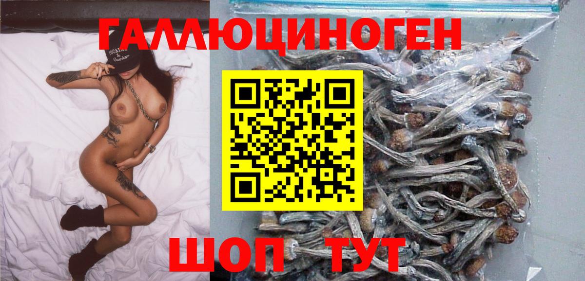 Лыткарино  где найти наркотики  Вход с VPN  Псилоцибиновые грибы MAGIC MUSHROOMS 